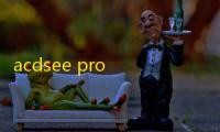 acdsee pro 2019许可证密钥和注册机